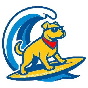 Logo que hacer en gran canaria. Perro surfero