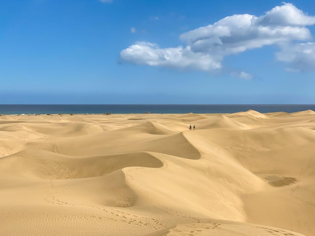 Vista panorámica Dunas de Maspalomas